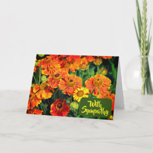 Orange Sneezewort Flowers Photo With Sympathy Card