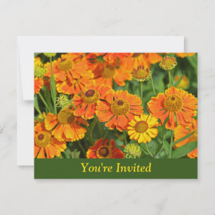 Orange Sneezewort Garden Surprise Birthday Invitation