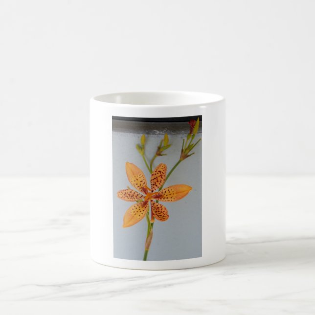 Orange spotted Iris called a  Blackberry lily Coffee Mug (Center)