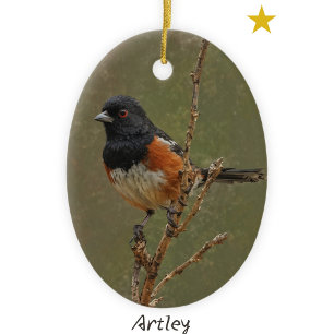 Orange Spotted Towhee Bird Painting Year Christmas Ceramic Ornament