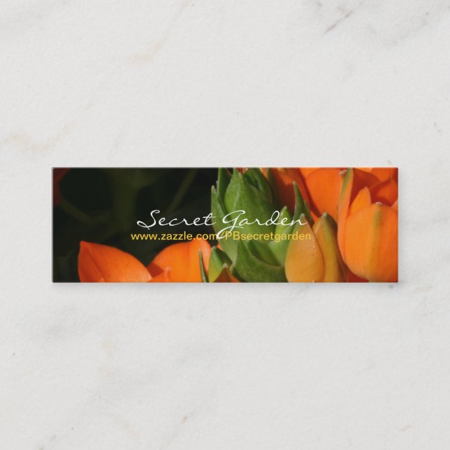 Orange Spring 2 Mini Business Card (Front)