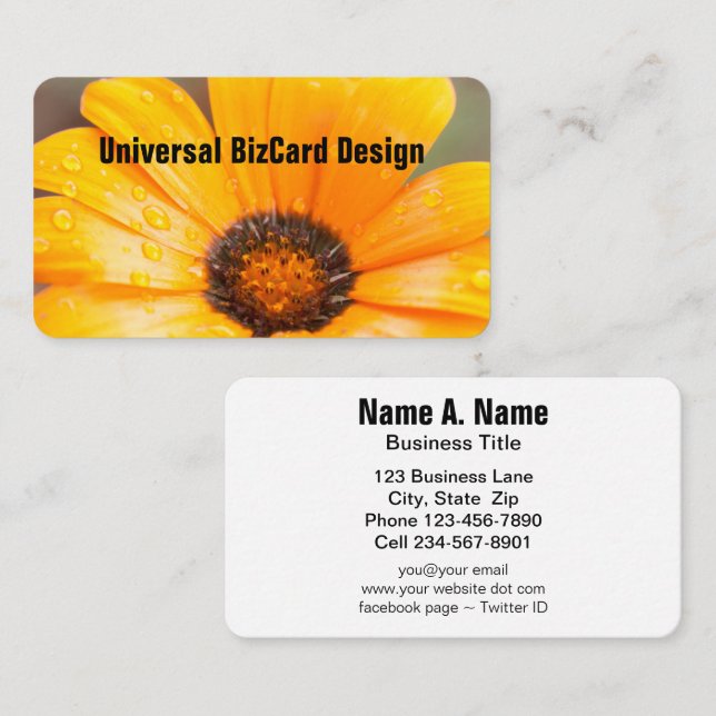 Orange Spring Flash African Daisy Close Up Business Card (Front/Back)