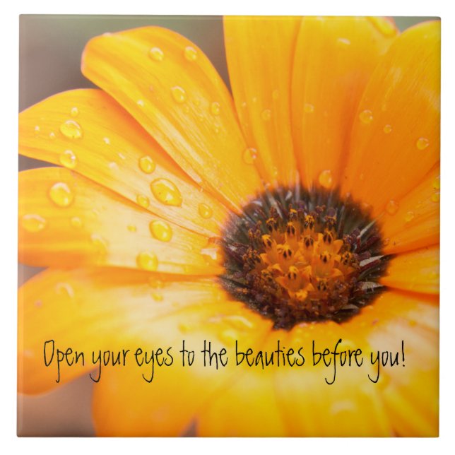 Orange Spring Flash African Daisy Close Up Ceramic Tile (Front)