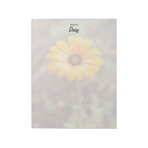 Orange Spring Flash African Daisy Close Up Photo Notepad