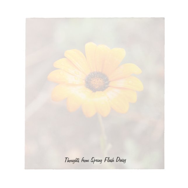 Orange Spring Flash African Daisy Flower Photo Notepad (Front)