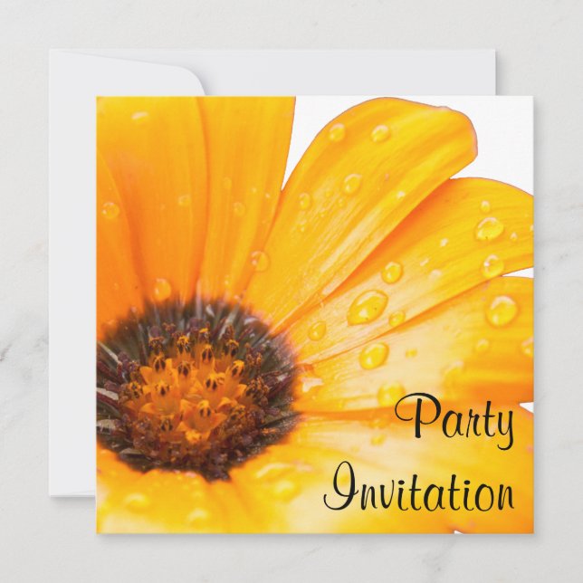 Orange Spring Flash African Daisy Photo Invitation (Front)