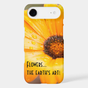 Orange Spring Flash African Daisy Photograph