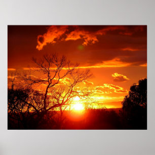 Orange Squash Sunset Poster