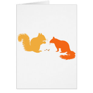 Orange Squirrels