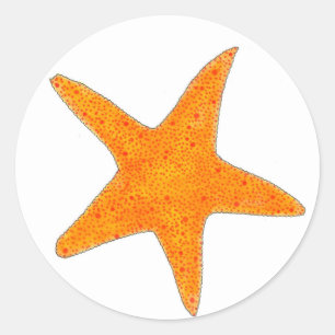 Orange Starfish Star Fish Beach Party Ocean Life Classic Round Sticker