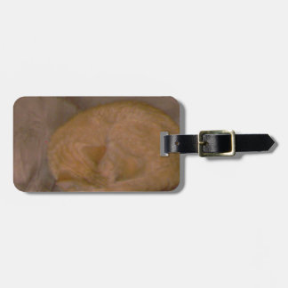 Orange striped cat cards, tee, clock, ornament luggage tag