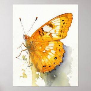 Orange Sulphur Butterfly Art Print Poster