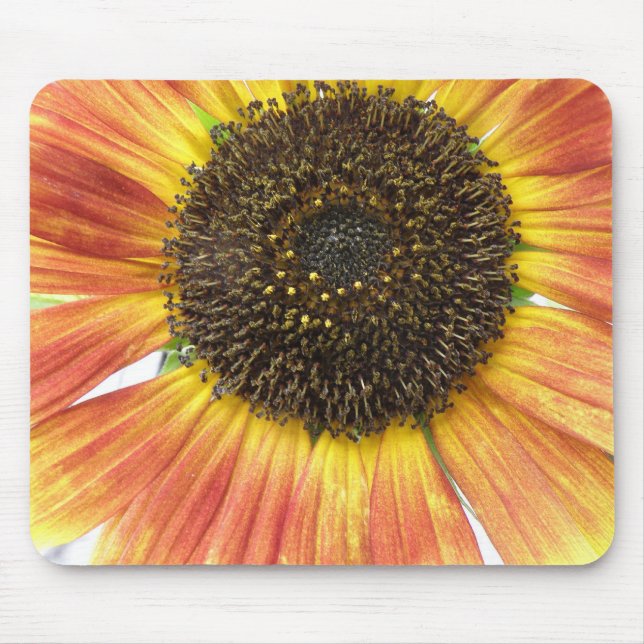 Orange Sunflower Mousepad (Front)
