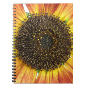 Orange Sunflower Notebook