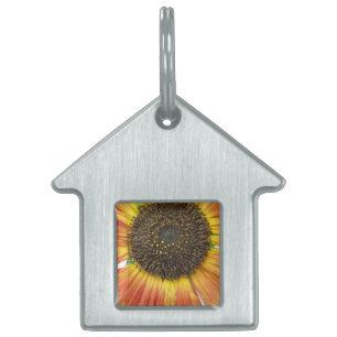 Orange Sunflower Pet Tag
