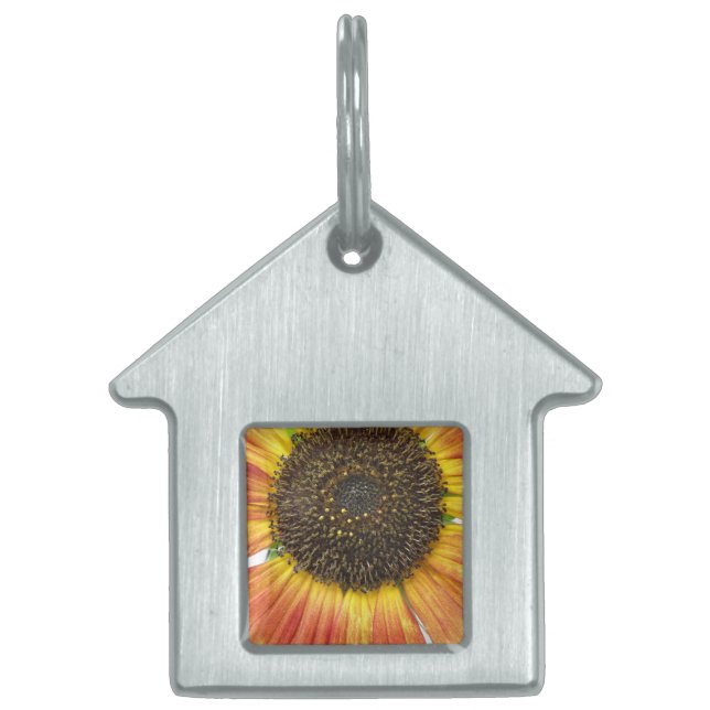 Orange Sunflower Pet Tag (Front)