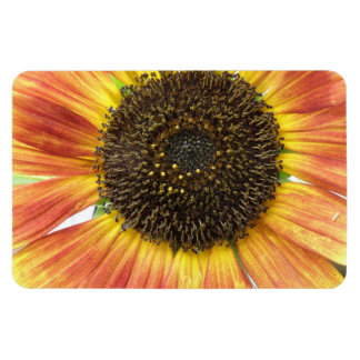 Orange Sunflower Premium Magnet