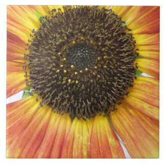 Orange Sunflower Tile