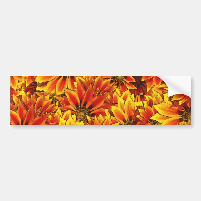 Orange Sunflowers Bumper Sticker (Front)