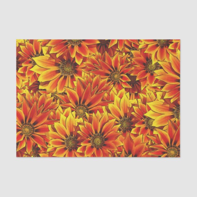 Orange Sunflowers Tissue Paper (Front)
