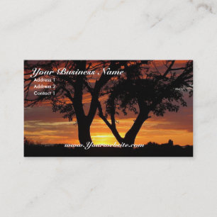 Orange Sunset Business Card