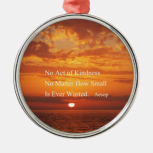 Orange Sunset Kindness quote Aesop Metal Ornament
