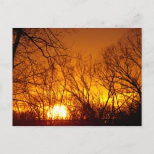 ORANGE SUNSET POSTCARD