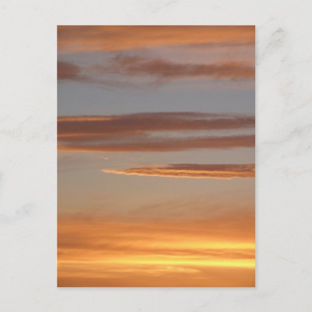 Orange Sunset Postcard (Front)