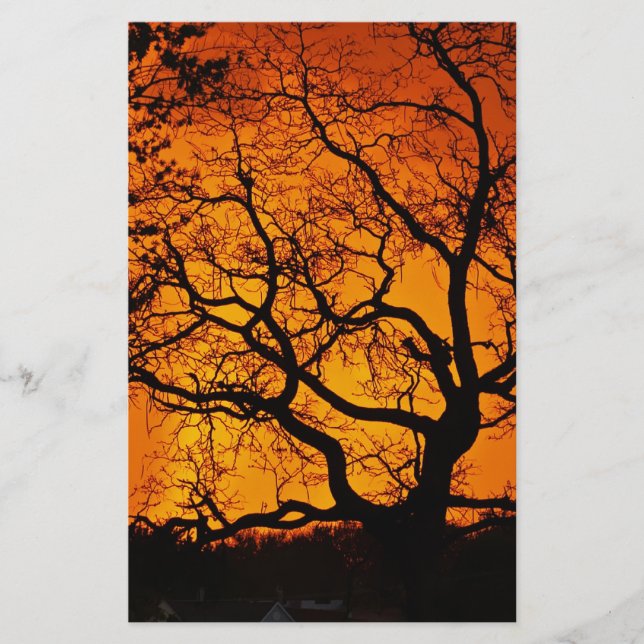 Orange sunset stationery (Front)
