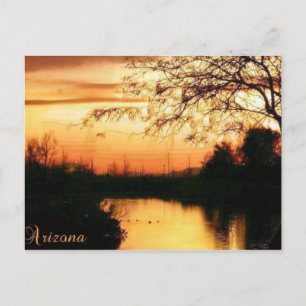 orange sunset w/Arizona text Postcard