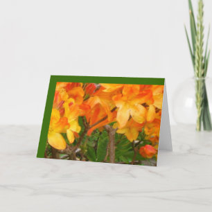 Orange Sunshine Delight Greeting Card