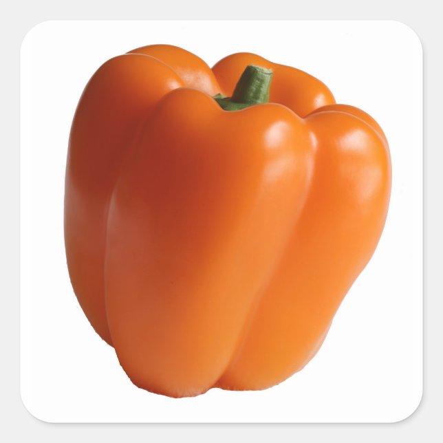 Orange Sweet Pepper Alone on  Square Sticker (Front)