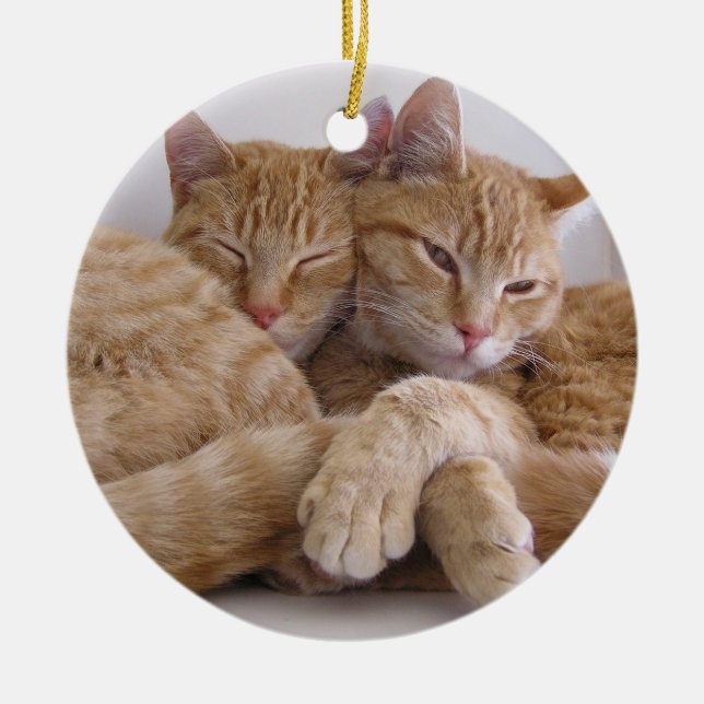 Orange Tabby Brothers Ceramic Ornament (Front)