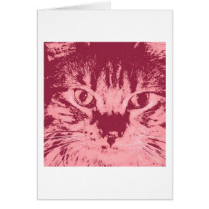 Orange Tabby Cat