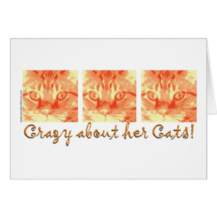 Orange Tabby Cat