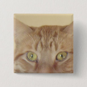 Orange Tabby Cat 15 Cm Square Badge