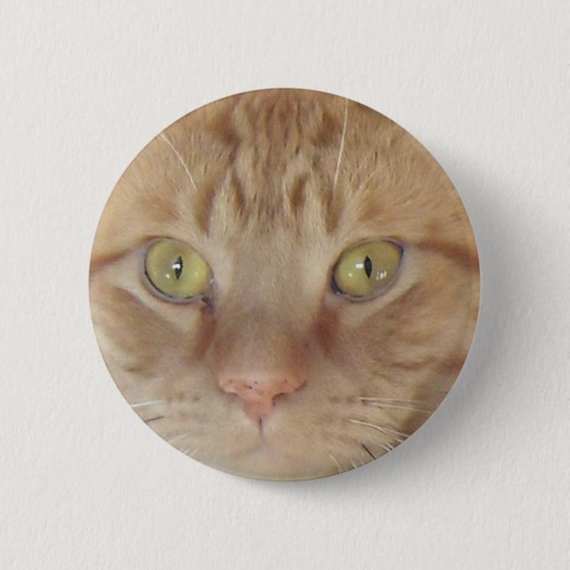 Orange Tabby Cat 6 Cm Round Badge (Front)