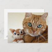 Orange Tabby Cat and Best Friend Postcard (Front/Back)