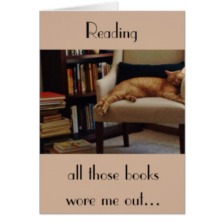 Orange Tabby Cat and Books