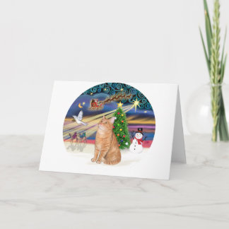 Orange Tabby Cat - Christmas Magic Holiday Card