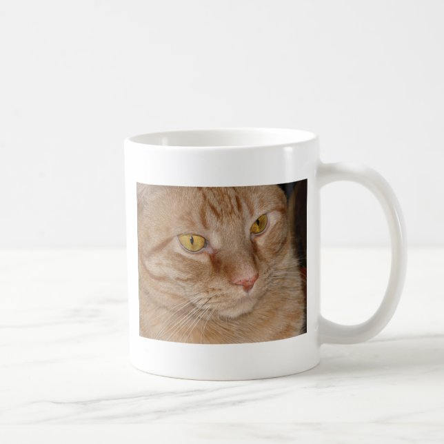 Orange Tabby Cat Coffee Mug (Right)