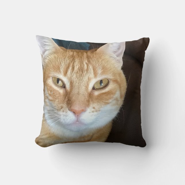Orange tabby cat cushion (Front)
