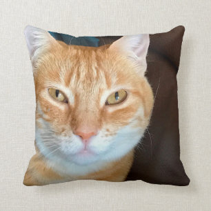 Orange tabby cat cushion
