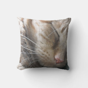 Orange Tabby Cat Cushion