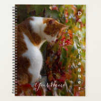 Orange Tabby Cat - Daily Planner- HAMbWG