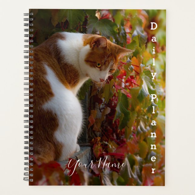 Orange Tabby Cat - Daily Planner- HAMbWG Planner (Front)