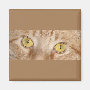 Orange Tabby Cat eyes Magnet