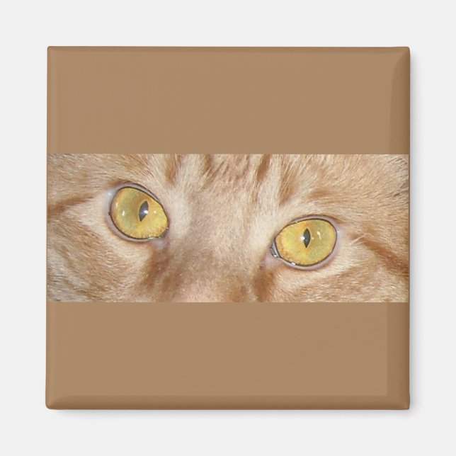 Orange Tabby Cat eyes Magnet (Front)