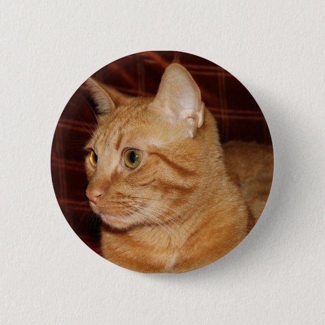 Orange Tabby Cat Face Profile 6 Cm Round Badge (Front)