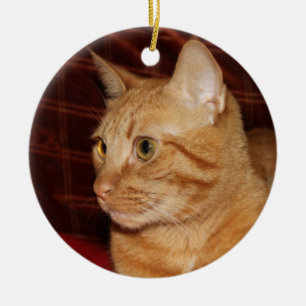 Orange Tabby Cat Face Profile Ceramic Tree Decoration